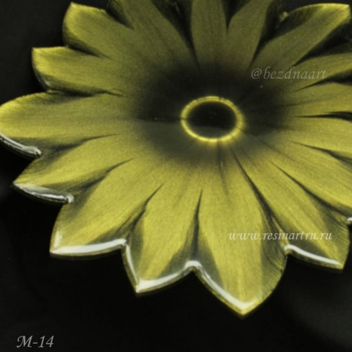IMG-20240730-WA0051