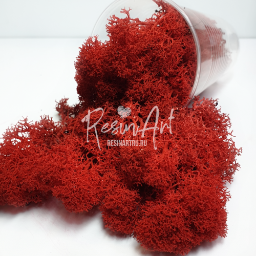 Ягель (мох) стабилизированный Красный